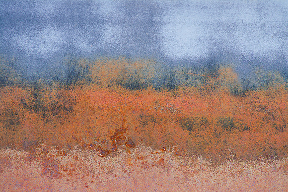 Packard Prairie